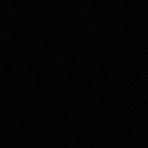 Meet your Posher, Shane